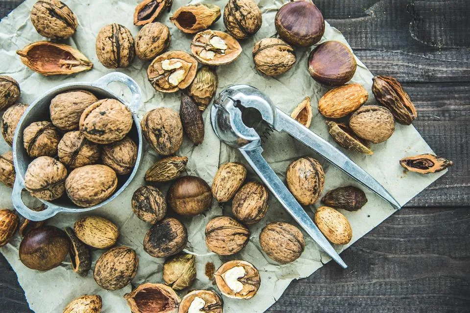 Nuts & Dry Fruits